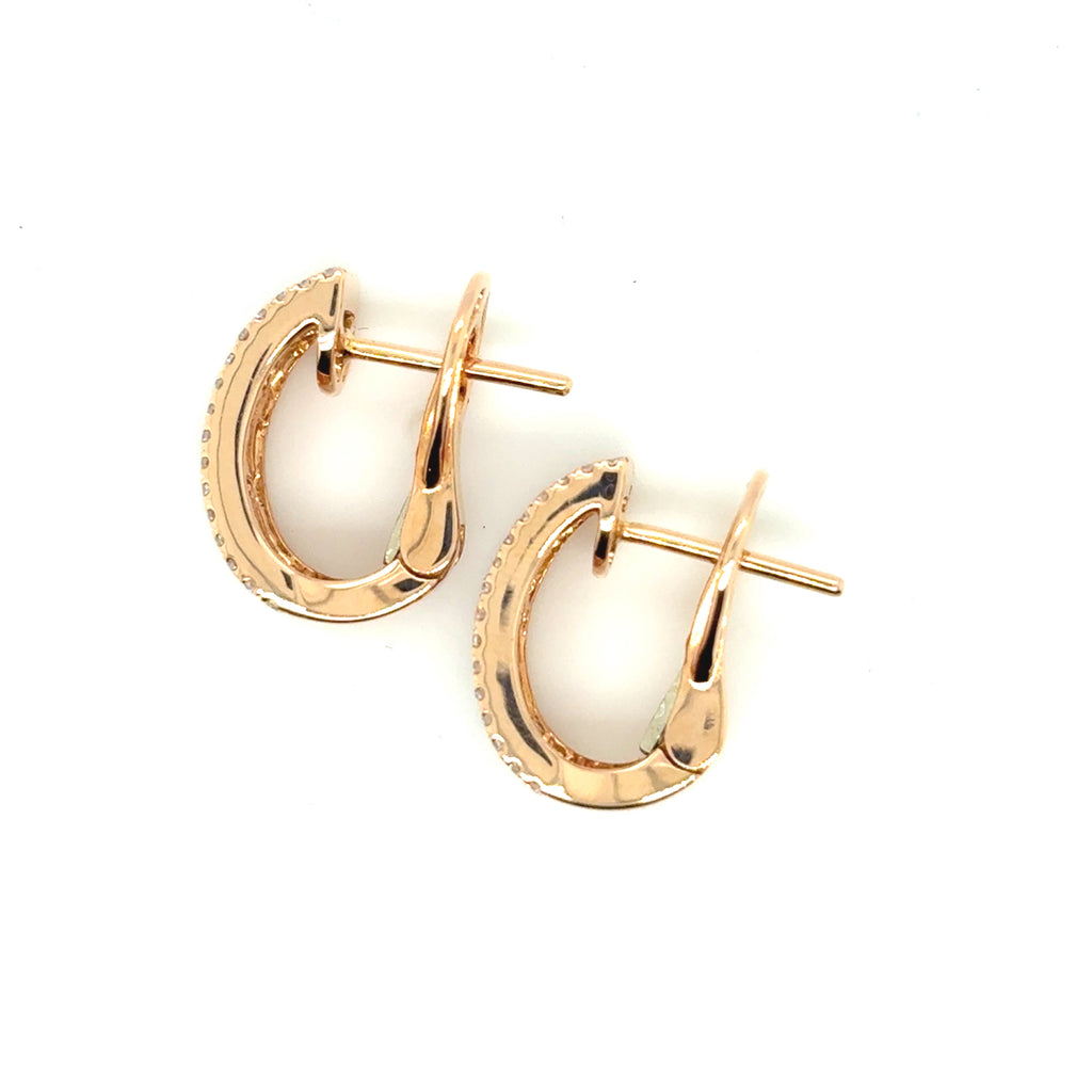 Half Moon Ruby Earrings - BV 12